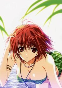BUY NEW suzuhira hiro - 187295 Premium Anime Print Poster